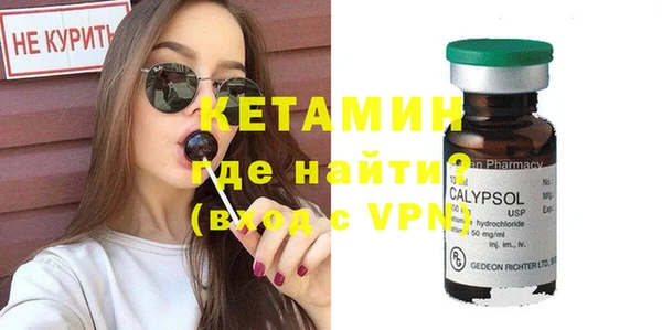 хмурый Аркадак