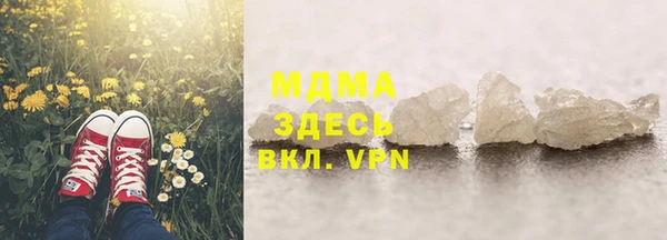 хмурый Аркадак