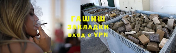хмурый Аркадак