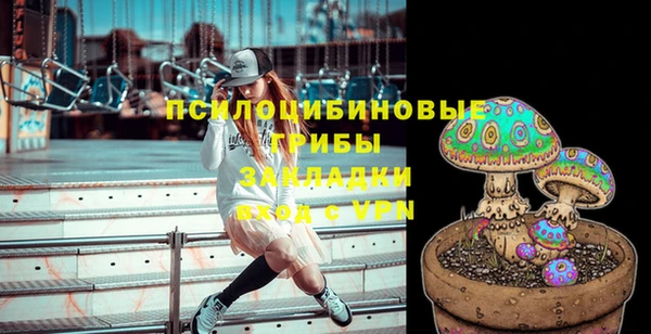 прущий лед Армянск