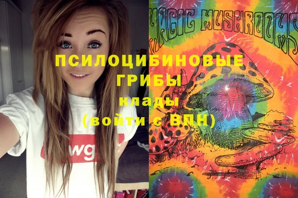 прущий лед Армянск