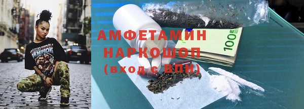 хмурый Аркадак