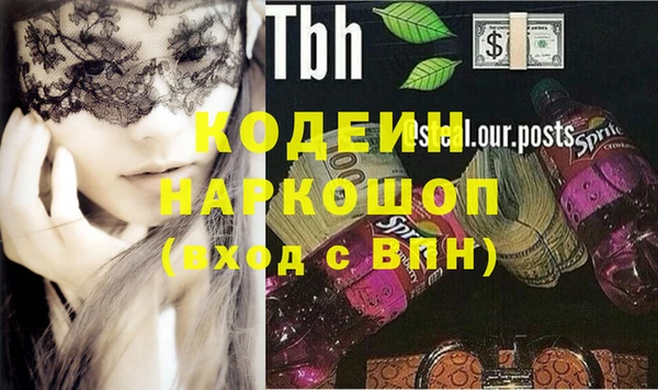 хмурый Аркадак